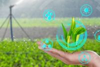خرید قراردادی جایگزین خرید تضمینی می شود
