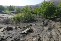 خسارت ۱۴۲ میلیارد تومانی سیلاب به بخش‌ کشاورزی کلات/۴۰۰ راس دام تلف شد