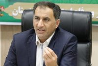 دولت با مدیریت واردات خودرو از ایجاد رانت در این حوزه جلوگیری کند
