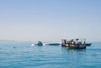 سقوط یک فروند هواپیمای آموزشی در آب‌های جزیره قشم
