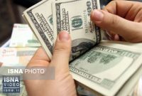 سلطانی: ارز چند نرخی باعث هرج و مرج می‌شود