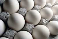 قیمت تخم‌مرغ چند؟