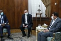 مخبر: گسترش مبادلات با آفریقا از اولویت‌های سیاست خارجی دولت است