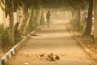 افزایش گرما در اغلب شهرها از ۲۸ خرداد/ گردوخاک و باد شدید فردا در پایتخت