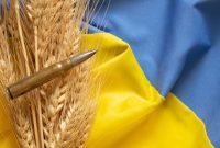 سازمان‌ملل: نمی‌توانیم ادعای اوکراین درباره ربوده شدن غلاتش را تایید کنیم