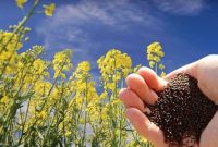 شورای بازنگری تولید در هلدینگ کوثر تشکیل شد