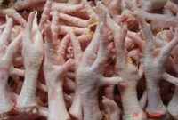 صادرات ۲۸ هزار کیلوگرم‌ پای مرغ از لرستان به ویتنام 