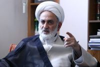 صهیونیست‌ها و آمریکا پشت پرده هتاکی به مقدسات در فیلم عنکبوت مقدس هستند