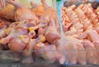 مرغ‌های اندونزی راهی سنگاپور شد