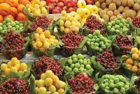 میوه‌های نوبرانه و فصل چند؟