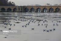 پیشنهاد نماینده لنجان به دولت برای حل مشکل آب توسط مردم اصفهان پیشنهاد نماینده لنجان به دولت برای حل مشکل آب توسط مردم اصفهان