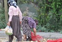 گزارش سازمان ملل؛ بیش از ۱۴ میلیون نفر در ترکیه سوء تغذیه دارند