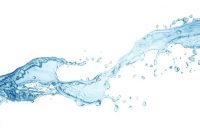 یک کارشناس: وزن مصرف آب در بخش کشاورزی باید کاهش یابد یک کارشناس: وزن مصرف آب در بخش کشاورزی باید کاهش یابد