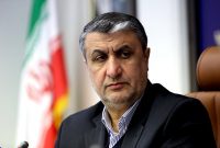 ۲۵ درصد از بازرسی‌های هسته‌ای جهان تنها از ایران است