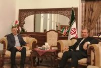آمادگی برای اربعین و همکاری های اقتصادی؛ محورهای دیدار سفیر ایران با استاندار دیالی عراق