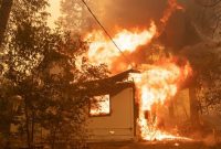 اعلام وضعیت اضطراری در کالیفرنیا به دنبال آتش سوزی  در «جنگل ملی کلاماث»