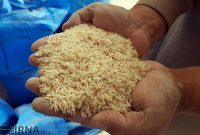 برنج‌های وارداتی به زاهدان به گمرک اظهار نشده است