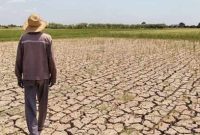 بیش از نیمی از زمین‌های عراق در معرض تبدیل شدن به بیابان