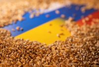 ترکیه: مرکز هماهنگی صادرات غلات اوکراین آغاز به کار کرد