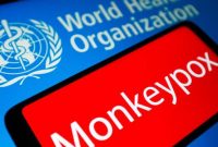تعداد مبتلایان به آبله میمون در جهان از ۶ هزار نفر گذشت / دو مورد مرگ و میر جدید ناشی از این بیماری