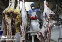 تولید بیش از  ۶۰۰ هزار تن گوشت قرمز در کشتارگاه‌های کشور