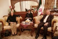 دیدار نماینده سازمان ملل در عراق با سفیر ایران