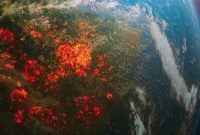 روایتی از یک خبر I بشریت قربانی بی‌تفاوتی قدرت‌های جهان در برابر تغییرات اقلیمی