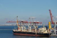سازمان ملل: احتمال حرکت نخستین کشتی‌های‌ حامل غلات اوکراین طی چند روز آینده