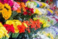 ساماندهی دستفروشان حاشیه بزرگراه هاشمی ساماندهی دستفروشان حاشیه بزرگراه هاشمی