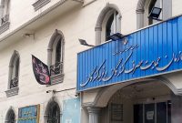 سرپرست جدید سازمان حمایت منصوب شد