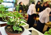 صنعت گیاهان دارویی با نوآوری‌های دانش‌آموزی رونق می‌گیرد