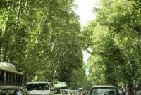 فناوری های نوین به کمک درختان ولیعصر بیایند فناوری های نوین به کمک درختان ولیعصر بیایند