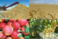 متوسط قیمت تولیدکننده محصولات کشاورزی در سال ١۴٠٠ چقدر بود؟