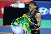 محمدسیفی بهترین ووشوکار ماه جهان شد