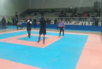 مسابقات قهرمانی فدراسیون کونگ فو و هنرهای رزمی کشور در سیرجان برگزار شد