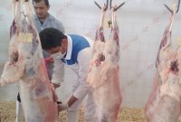 نظارت بر ذبح ۳ هزار و ۶۲۸ راس دام قربانی در خراسان جنوبی نظارت بر ذبح ۳ هزار و ۶۲۸ راس دام قربانی در خراسان جنوبی