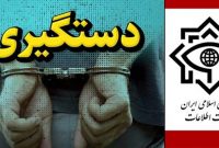 وزارت اطلاعات یک تبعه سوئدی را به اتهام‌ جاسوسی بازداشت کرد