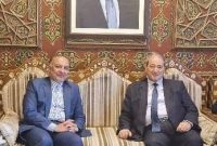 وزیر امور خارجه سوریه عازم تهران شد
