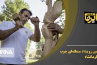 ویدیو/ سومین رویداد منطقه‌ای چوب در کرمانشاه