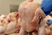 چه کالایی بیشترین افزایش قیمت در خرداد را داشته است/متوسط قیمت کالاهای خوراکی درمناطق شهری