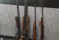 کشف و ضبط ۵ اسلحه شکاری از متخلفین شکار قوچ وحشی در لامرد