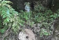 ۵ گور تاریخی در آستارا کشف شد