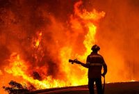 آتش سوزی جنگلی گسترده در اروپا؛ ۴ برابر ۱۵ سال گذشته