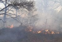آتش سوزی گچساران به منطقه حفاظت شده کوه خامی باشت سرایت کرد