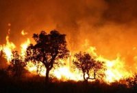 آتش‌سوزی در الجزایر ۲۵ قربانی گرفت