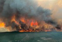آتش‌سوزی‌های جنگلی در فرانسه؛ تخلیه منازل از سوی هزاران نفر+تصاویر