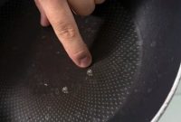 ابداع روش کم‌هزینه برای نابودی مواد شیمیایی مضر و جان سخت