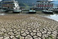 اقدامات اضطراری چین در برابر موج بی سابقه گرما