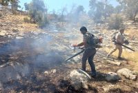 بیش از ۱۵۰ هکتار از منطقه حفاظت شده خامی باشت در آتش سوخت