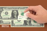 حذف ارز ترجیحی مهم‌ترین اصلاح اقتصادی برای کمک به اقشار جامعه